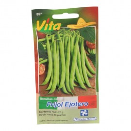 SEMILLAS DE FRIJOL EJOTERO 957 - Envío Gratuito