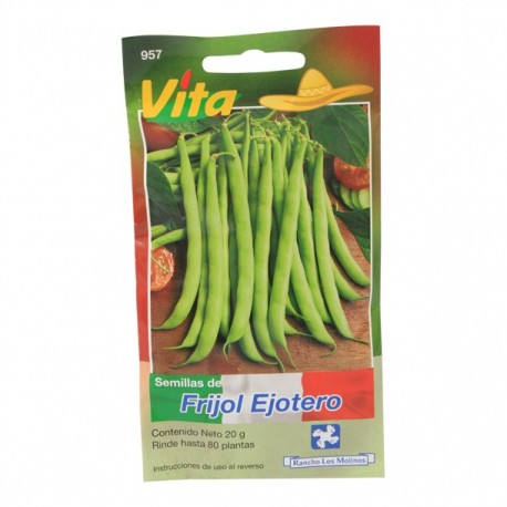 SEMILLAS DE FRIJOL EJOTERO 957 - Envío Gratuito