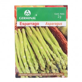 SEMILLA ESPARRAGO 221 - Envío Gratuito