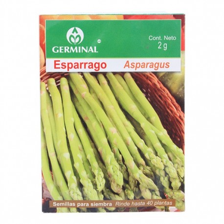 SEMILLA ESPARRAGO 221 - Envío Gratuito