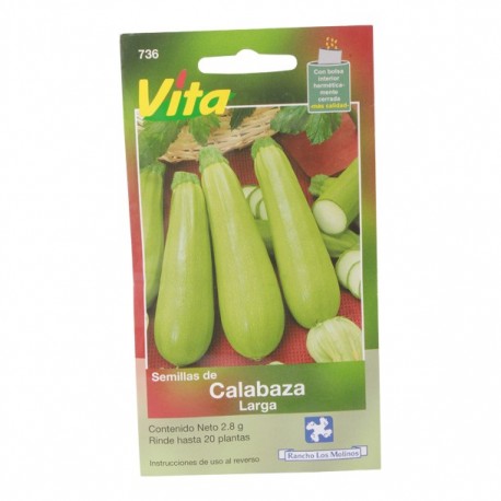 SEMILLAS DE CALABACÍN GENOVESE 736 - Envío Gratuito