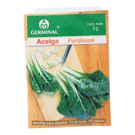 SEMILLA ACELGA 213 - Envío Gratuito