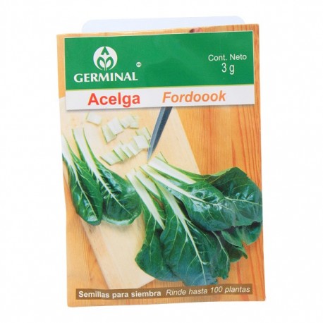 SEMILLA ACELGA 213 - Envío Gratuito