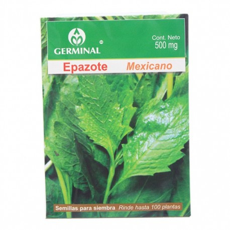 SEMILLA EPAZOTE 220 - Envío Gratuito