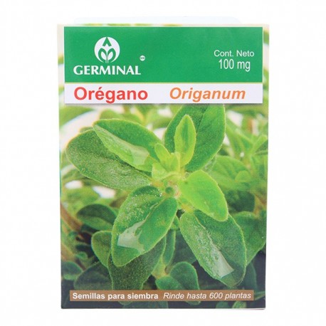 SEMILLA OREGANO 229 - Envío Gratuito