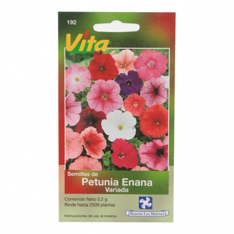 SEMILLAS DE PETUNIA ENANA VARIADA 192 - Envío Gratuito