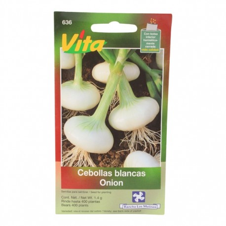 SEMILLAS DE CEBOLLA BLANCA DE BARLETTA 634 - Envío Gratuito