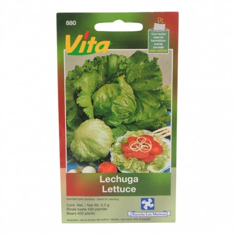 SEMILLAS DE LECHUGA GREAT LAKES 880 - Envío Gratuito