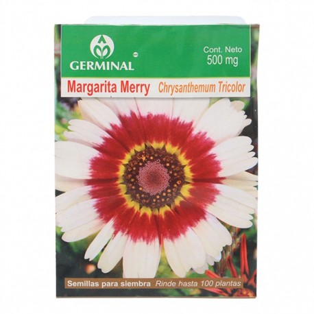 SEMILLA MARGARITA MERRY 107 - Envío Gratuito