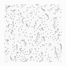 USG FISSURED BASIC PLAFÓN ACÚSTICO 2X4 - Envío Gratuito