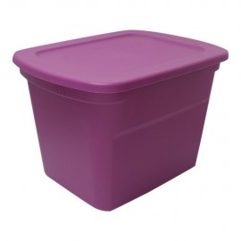 CAJA 68L/18G UVA 59.7X46.7X41CM - Envío Gratuito