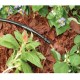 TAPÓN TUBERIA 1/2" 10 PIEZAS - Envío Gratuito