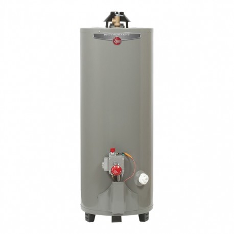 CALENTADOR DE DEPÓSITO GAS LP 76L/20GAL PERFORMANCE - Envío Gratuito