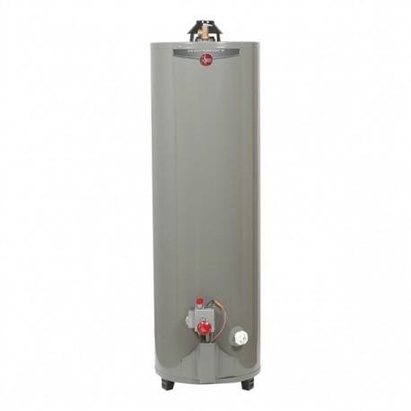 CALENTADOR DE DEPÓSITO GAS NATURAL 152L/40GAL PERFORMANCE - Envío Gratuito