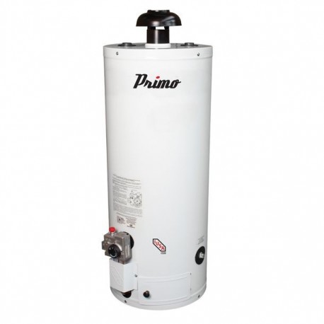 CALENTADOR DEPOSITO PRIMO 60L. LP - Envío Gratuito