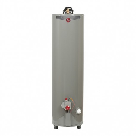 CALENTADOR DE DEPÓSITO GAS LP 114L/30GAL PERFORMANCE - Envío Gratuito