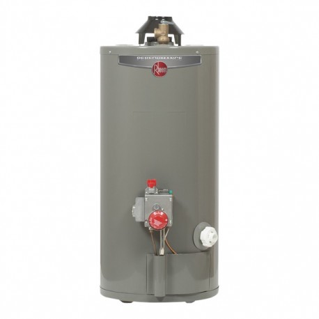 CALENTADOR DE DEPÓSITO GAS LP 38L/10GAL PERFORMANCE - Envío Gratuito