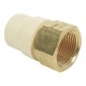 ADAPTADOR HEMBRA CPVC PARA INSTALACIONES DE BRONCE 3/4 - Envío Gratuito
