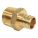 ADAPTADOR MACHO PEX 1/2 - Envío Gratuito