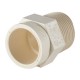 ADAPTADOR MACHO 1/2" CPVC-CTS - Envío Gratuito