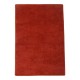 TAPETE RECTANGULAR 60 X 90 CM - Envío Gratuito