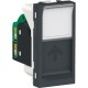TOMA RJ45 CAT. 5EGRAFITO SCHNEIDER ELECTRIC - Envío Gratuito