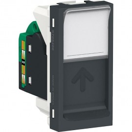 TOMA RJ45 CAT. 5EGRAFITO SCHNEIDER ELECTRIC - Envío Gratuito