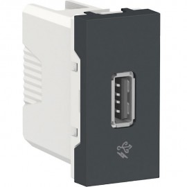 TOMA PARA CARGA USB 1A 127VCA GRAFITO SCHNEIDER ELECTRIC - Envío Gratuito