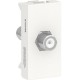 TOMA COAXIAL PARA TV BLANCO SCHNEIDER ELECTRIC - Envío Gratuito