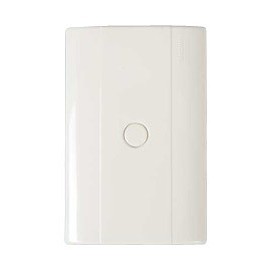 PLACA CHASIS MARFIL RESINA CIEGA - Envío Gratuito