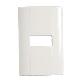 PLACA CHASIS MARFIL DE RESINA 1MOD - Envío Gratuito