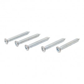 TORNILLO METAL CABEZA OVALADA RANURADA 10 X 1-1/2" 10P - Envío Gratuito
