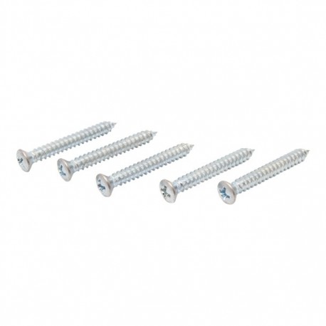 TORNILLO METAL CABEZA OVALADA RANURADA 10 X 1-1/2" 10P - Envío Gratuito