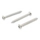 TORNILLO METAL CABEZA OVALADA RANURADA 12X 2" 10P - Envío Gratuito