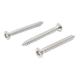 TORNILLO METAL CABEZA OVALADA RANURADA 12X 2" 10P - Envío Gratuito