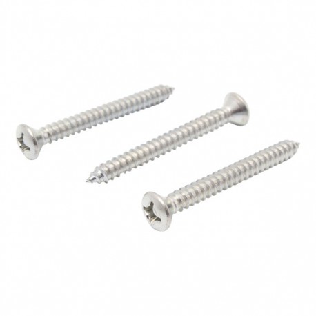 TORNILLO METAL CABEZA OVALADA RANURADA 12X 2" 10P - Envío Gratuito
