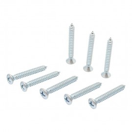 TORNILLO METAL CABEZA OVALADA RANURADA 8 X 3/4" 10P - Envío Gratuito