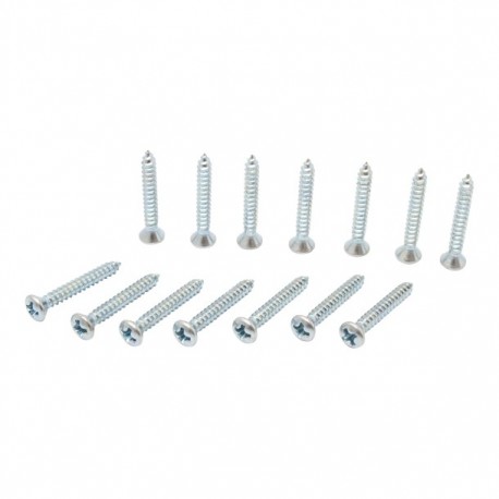 TORNILLO METAL CABEZA OVALADA RANURADA 14 X 1" 10P - Envío Gratuito