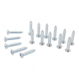 TORNILLO METAL CABEZA OVALADA RANURADA 6 X 3/4" 10P - Envío Gratuito