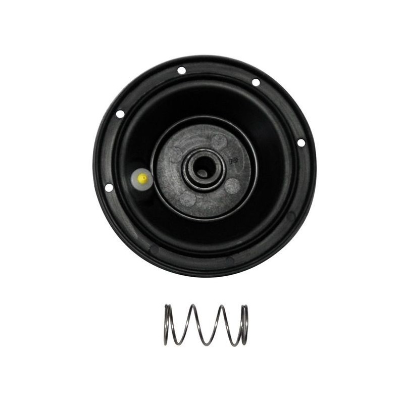 Coppia Di Membrane Tweeter DS18 PRO-DKN25VC – Ricambio Universale Per PRO-DKN25
